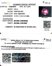 9.30/CT Natural Star Ruby with Govt. Lab Certificate-5661